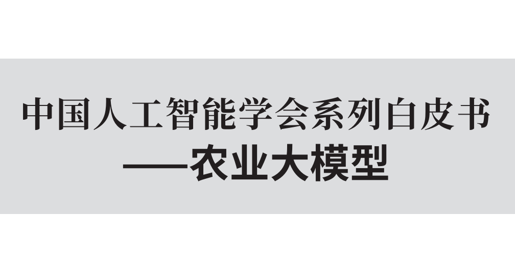 报告图标