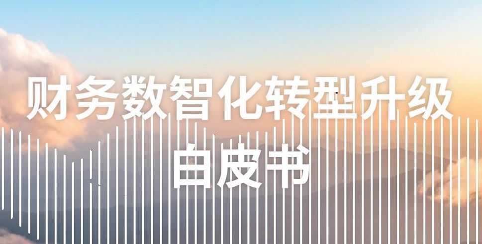 报告图标