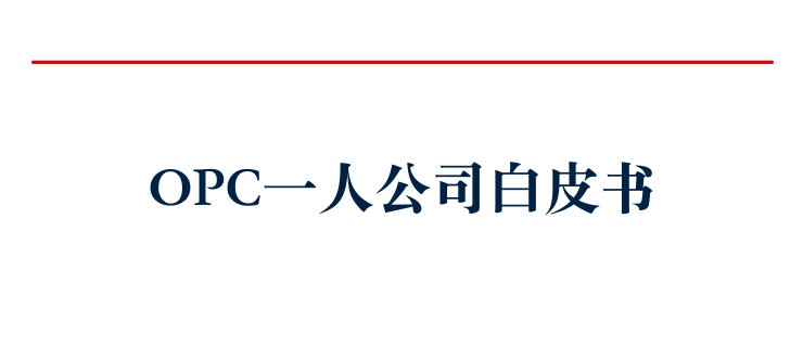 报告图标