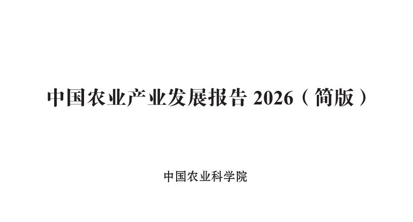 报告图标