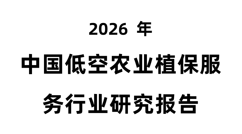 报告图标