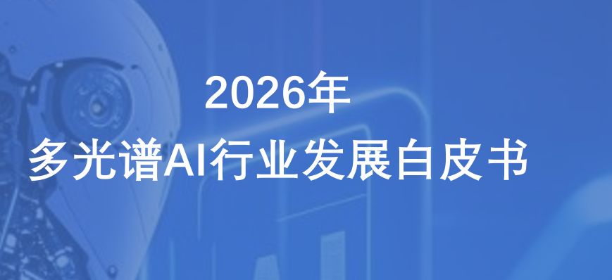 报告图标